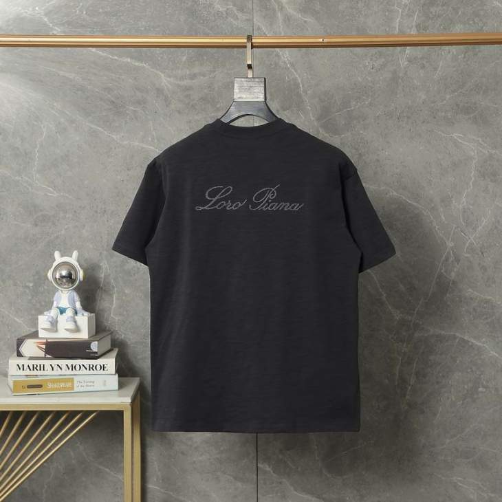 Loro Piana T Shirts Short _SKULoroPianaM-2XLaztxQ748737